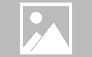 丰城新区景区网站建设（in art criticism,you must assume）